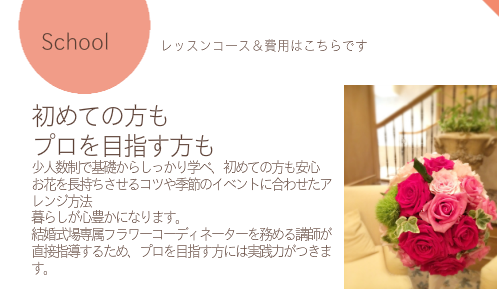 レッスンコース