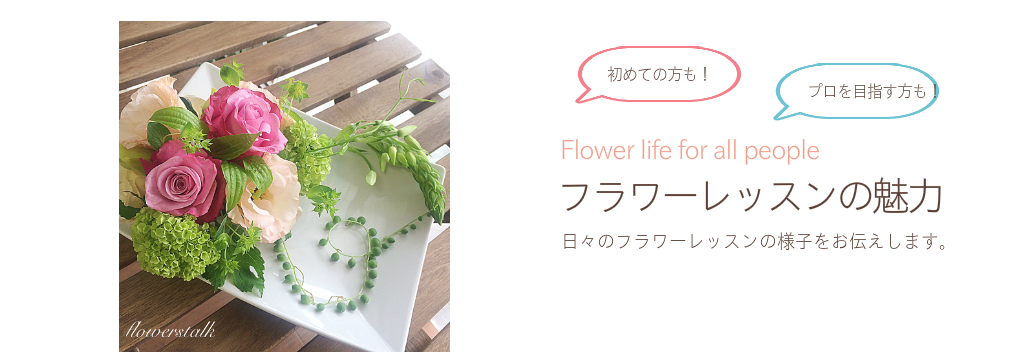 レッスンレポート