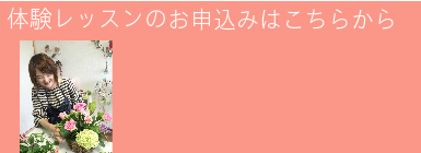 体験レッスン申込